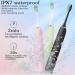 7AM2M Electric Toothbrush 2 Pack Set | 12 Brush Heads | 5 Modes | Smart Timer | Fast Charge | IPX7 Waterproof | Sonic Toothbrush (Green+Black) - Buy Online on GoSupps.com
