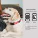 iPet Dog Tracker Protective Case for Apple AirTag - Durable & Waterproof Collar Holder (Pink) - Buy Online on GoSupps.com