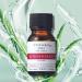 TUNEMAKERS Aloe Extract Serum Soothing Skin Moisturizing Face Serum for All Skin Types - 10ml - Buy Online on GoSupps.com