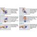 Demeras Wrist Finger Massage Exerciser - Stress Relief Fitness Training Squeezing Balls with Bungee Cord | Blue 30 Degrees - Buy Online on GoSupps.com