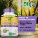 Organic Artichoke - 90 Capsules - Natural Detox - 100% Organic and Made in France - Slimming Organic Artichoke to Activate Transit and Protect the Liver - Buy Online on GoSupps.com