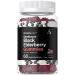 Horbaach Sambucus Black Elderberry Gummies | 60 Count | with Zinc and Vitamin C | Vegan Non-GMO Gluten Free Extract for Adults | Berry Flavor | by Berkshire Labs