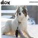 Ddoxx Reflecting Extendable Roll Leash for Small & Large Dogs | Stylish Colors & Sizes | Retractable Dog Leash Accessories - Buy Online on GoSupps.com