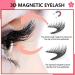 MuLich Dalarey Magnetische Wimpern-Set Wiederverwendbare Doppelte Magnetische Wimpern Ohne Eyeliner Ohne Kleber Wasserfest Sicher Einfach Zu Tragen (1 Paar Natur + 1 Paar Dick) - Buy Online on GoSupps.com