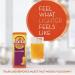 Metamucil Sugar-Free Orange Fiber Supplement - 180 Servings for Digestive Health - Buy Online on GoSupps.com