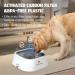 Non-Spill Slow Drink Dog Water Bowl 1L - Gray | Non-Slip Portable Pet Water Bowl for Car Travel | Cat & Puppy Friendly - Buy Online on GoSupps.com