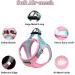 Doramio Dog Harness for Small Dogs - Reflective Breathable Step-In Design with Leash - Anti-Train Safety Harness for Cats & Dogs (L Pink/Blue) - Buy Online on GoSupps.com