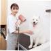 NOLITOY Hair Dryer Holder Hair Dryers Tool Hair Blower Dryer Rack Grooming Arm The Dog Beauty Products - Buy Online on GoSupps.com