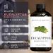 Brooklyn Botany Lemon Eucalyptus & Eucalyptus Essential Oils 4 Fl Oz (Pack of 2) 100% Pure & Natural Deeply Refreshing Aromatherapy Blend - Buy Online on GoSupps.com