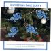 HOMSFOU 24 Pcs Christmas Imitation Berries Christmas Berries Picks Artificial Berry Twig Stem Gold Floral Picks Glitter Holly Berry Stem Xmas Red Fruit Home Decor Household Ribbon Foam Bluex2pcs 19X5X5CMx2pcs - Buy Online on GoSupps.com