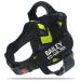Pawpawify dog harnesses against pulling with personalized name and telephone number hard-wearing prevents tug pulling or choking for training and walking L chest 28-38in green doodles