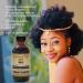 Sunny Isle Jamaican Black Castor Oil with Chebe Powder 2oz - Stronger, Longer Hair | All-Natural African Moisturizer for All Hair Types - Buy Online on GoSupps.com