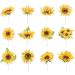 Sunflower Cupcake Toppers Sunflower Cake Picks for Flower Themed Party Birthday Party Decorations Supplies 36 Pieces - Buy Online on GoSupps.com