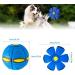 Interactive Dog Toys: Magical Flying Disc & Frisbee Ball for Pets - Fun & Engaging! - Buy Online on GoSupps.com