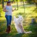 ITRIMAKA Pet Clicker Trainer | Effective Cat & Puppy Training Device | Achieve Fast Results in Pet Training - Buy Online on GoSupps.com