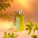 L'OCCITANE Mint Verbena Exfoliating Shower Gel 250ml - Refreshing Minty & Zesty Formula for All Skin Types - Buy Online on GoSupps.com