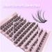 Lash Clusters 100Pcs DIY Individual Eyelash Extensions D Curl 8-16MM Reusable Wispy Lashes (#04) - Natural Look for At-Home DIY - Buy Online on GoSupps.com
