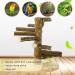 WishesMar Budgie Playground for Cockatiels & Parrots - 24.5x22x22 cm Wooden Bird Playset - International Shipping - Buy Online on GoSupps.com