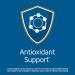 21st Century Antioxidant - 75 Tablets for Immune Support & Wellness - Buy Online on GoSupps.com