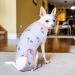 Recovery Suit for Dogs | Post-Op Wound Protection & Anti-Licking Suit | Blue Cactus Medium - Buy Online on GoSupps.com