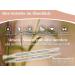 2-Piece Acupressure Pen Set - Reflexology Massage Pens (1/2 mm & 5/10 mm) for Ultimate Relaxation | International Shipping Available - Buy Online on GoSupps.com