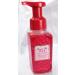 Bath Body Works Gentle Foaming Hand Soap You're The One