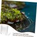 ORFOFE Pet Water Feeder Ant Waterer Ant Feeder Station Ant Bottle Feeder Ant Water Drinking Cup Plastic - Buy Online on GoSupps.com