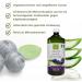 Benessence Aloe Vera Juice with Blueberry - 3000 ml - Italian Organic Health Drink - Buy 3 Pack (1 L each) Online - Buy Online on GoSupps.com