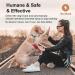 Auto Citronella Dog Bark Collar | 3 Spray Levels & 3 Sensitive Levels | Humane Anti Barking Control | IPX7 Waterproof | Safe for L/M/S Dogs | Black - B470 - Buy Online on GoSupps.com