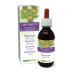 Chardon b ni (Cnicus benedictus) herbe avec fleurs Teinture M re sans alcool Naturalma - Extrait liquide gouttes 120 ml - Compl ment alimentaire - V g talien ou v gan Sans alcool 120 ml (Lot de 1)