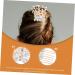 Angoily Silver Hair Comb Headwear for Women Pearl Wedding Hair Accessories Rhinestone Hair Comb Hair Combs for Women Rhinestone Hair Accessories Hair Pin Tiara Hair Fork Girl Bride Pearls - Buy Online on GoSupps.com