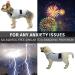 Dog Calming Coat - Thunder Wrap Vest for Fear Relief | Reflective Stripes | Light Gray - International Shipping - Buy Online on GoSupps.com