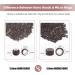 Vlasy 500 Pcs Silicone Micro Rings for I Tip Hair Extensions 4mm Micro Nano Beads Micro Links Hair Beads (Blonde) Micro-4mm-500Pcs Blonde - Buy Online on GoSupps.com