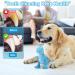 Shop Iokheira Cuddly Dog Toys Squeaky & Plush Light Blue Tyrannosaurus Rex for All Dog Sizes - Buy Online on GoSupps.com