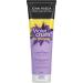 John Frieda Violet Crush Intense Brass Fighting Duo Intense Purple Shampoo + Conditioner Set with crushed violet pigments | Hair Toner for Brass in natural colour-treated and platinum blonde hair - Buy Online on GoSupps.com