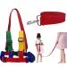 Toddler Walking Harness and Safety Leash Anti-Lost 2 in 1 Baby Safety Band for 1-5 Years Kids Learning Walking Anti-Lost Wrist Link Toddler Anti-Lost Rope for Children (Upgraded Version)