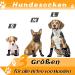 4 Pairs Anti-Slip Dog Socks - Indoor Paw Protection for Dogs | Non-Slip Socks for Indoor & Outdoor Use - Buy Online on GoSupps.com