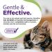 RenaSan Antiseptic Eye Drops for Dogs, Cats - 60ml - Buy Online on GoSupps.com