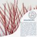 Free Oil Youth Power Concept Eye Cream | Reduces Eye Wrinkles Hyaluron Red Algae Vitamin E | Vegan & Dermatologically Tested | 15ml - Buy Online on GoSupps.com