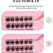 Lash Clusters DIY Individual Eyelashes Extenison 4 style 8-16MM D Curl Fluffy False Eyelashes Natural Look Wispy Clusters Lashes Volume Lash Extension Individuals DIY at Home (01MIX) - Buy Online on GoSupps.com