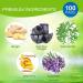 100 Ginger Foot Pads - Sleep Aid Stress Relief & Deep Cleansing with Bamboo Vinegar & Charcoal - Buy Online on GoSupps.com