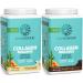 Chocolate & Vanilla Vegan Collagen Protein Powder Set | Bundle & Save | Plant Based Collagen Booster | Non-GMO No Added Sugar Soy or Dairy (40 Servings Chocolate 40 Servings Vanilla)