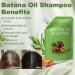 Shampooing Stimulant La Repousse Des Cheveux | Nettoyant Contr le des Huiles 250ml Shampooing Epaississant Soin Salon la Maison pour Cuir Chevelu Sensible Jour et Nuit Types de Cheveux - Buy Online on GoSupps.com
