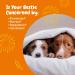 Zesty Paws Calming Bites for Dogs - Peanut Butter Soft Chews for All Ages (90 Count) - Buy Online on GoSupps.com