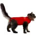 MPS Medical Pet Shirt for Cats Red | Size S | Comfortable & Stylish Recovery Wear - Buy Online on GoSupps.com