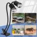 Ayuanb Reptile Heat Lamps Dual Head UVA UVB Heating Lamp with Cycle Timer Dimmable Basking Spot Lamp with Clip for Turtle Tortoise Lizard Snake Bearded Dragon and More 3 Bulbs(50W) Included - Buy Online on GoSupps.com