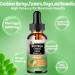Moringa Drops - Organic Moringa Leaf Extract Liquid with Turmeric Ginger Boswellia for Energy Skin Health Gut Health - High Absorption Green Superfood w/Essential Vitamins & Amino Acids - Buy Online on GoSupps.com