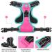 Phoepet Reflective Adjustable Dog Harness - Hot Pink XS with Training Handle 2 Metal Hooks & 3 Snap Buckles - Buy Online on GoSupps.com