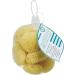 Neptune Natural Sea Soft Silk Sponge 12pk - Cosmetic & Facial Cleansing Tool 1-1.5 Inches, Pack of 12 - Buy Online on GoSupps.com