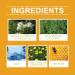 (100% Effective) 4/9 Jars Skin ag emover Bee enom Wart and ag emover | Bee enom Mole and Wart reatment Cream | ag ecede Bee enom Cream for Skin | 30G/1FL.OZ (9 Jars) - Buy Online on GoSupps.com